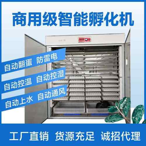 全自动大型鸽子孵化用孵箱化机卵小型YXG家鸡孵化器孵蛋器化器小