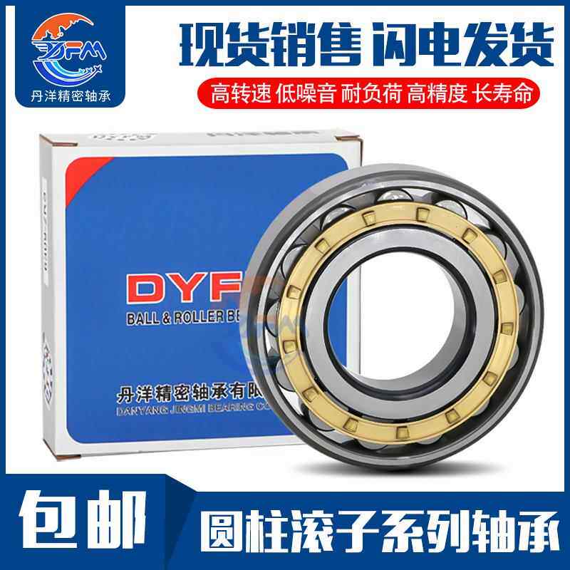 丹洋圆柱滚子轴承 N NU NJ RN NUP NF 308 309 310 311 E M C3 4K