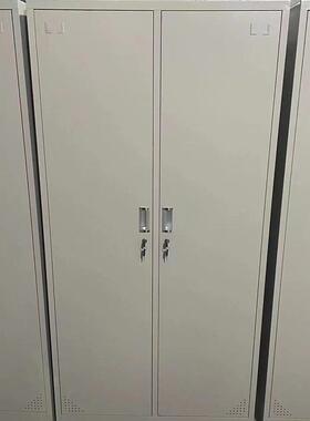 宿舍铁皮储物件柜二钢门衣公柜加厚制办VUD室文柜二门员工衣柜储