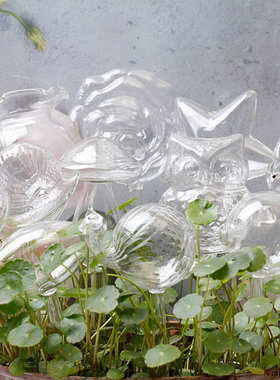 厂家供应 懒人重力渗水自动浇花器多种款式滴水园艺用品创意装饰