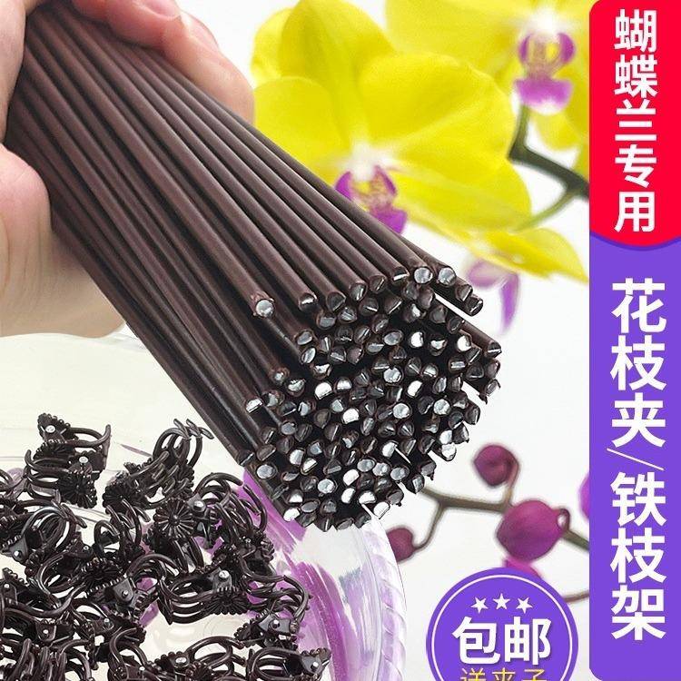 蝴蝶兰支架夹子专用固定爬藤类造型铁丝防倒伏园艺花卉植物支撑杆