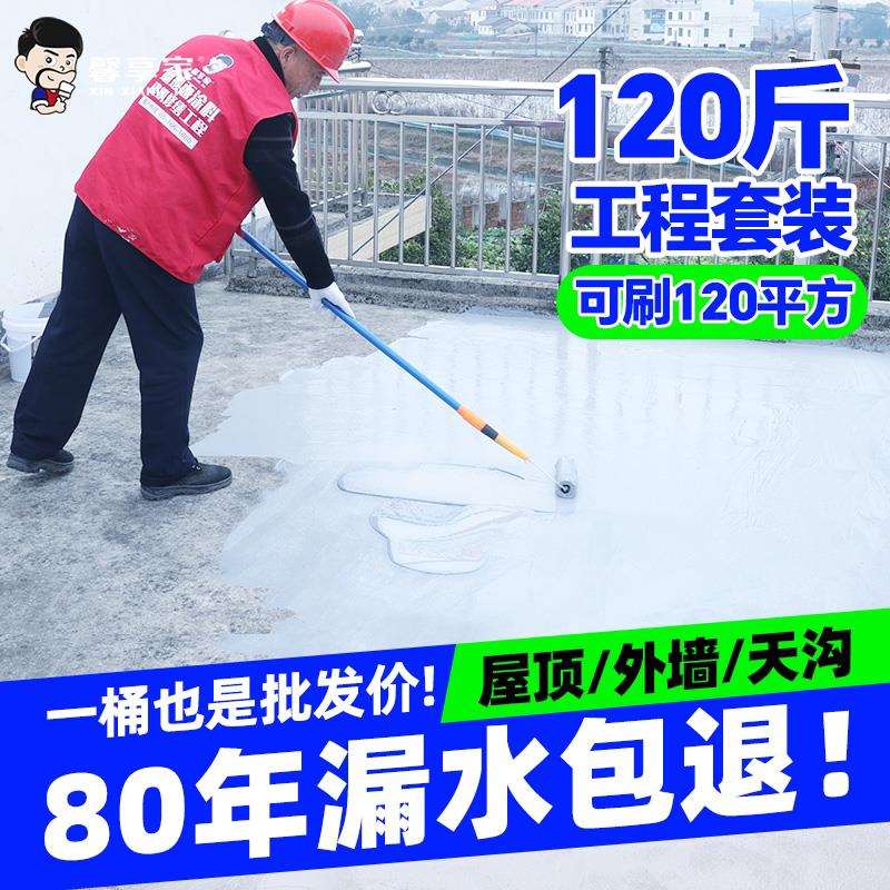 防水补漏材料屋顶平房楼顶室外外墙裂缝渗水漏水聚氨酯专用涂料胶