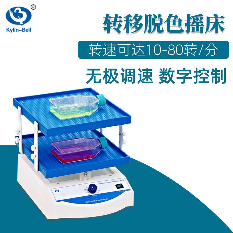 其林贝尔转移脱摇床色TS-8实验室振荡摇床DZ-208混0TS-8/8S 合器