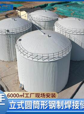 大型立式圆筒形钢制焊接储工业生活消防储水源头厂家生产安装