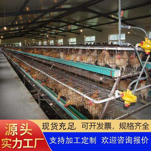厂家直销供应外贸阶梯式鸡笼四门五门镀锌鸡笼不生锈鸡笼外贸出口