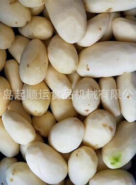 濮BSM阳市螺皮旋去机藕皮 土豆去机 马铃薯去皮机 莲去皮机