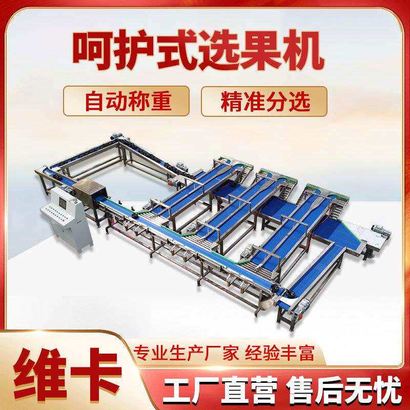 黄金梨无损分选机操作简单一机多用水果无损分拣机选果机厂家