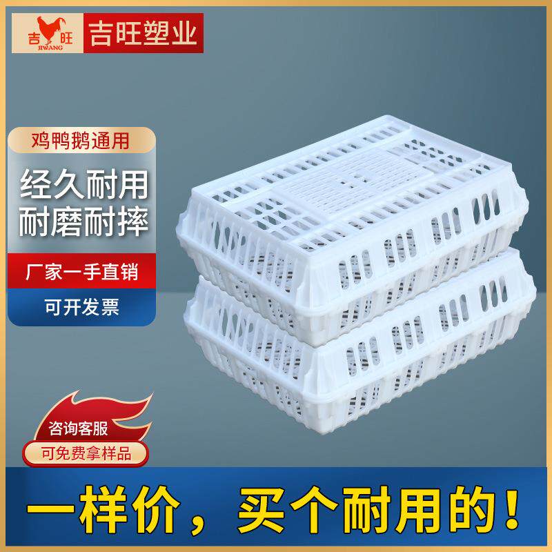 吉旺厂家塑料鸡鸭运输笼周转笼 鸽兔运输笼家禽周转筐成鸡周转筐