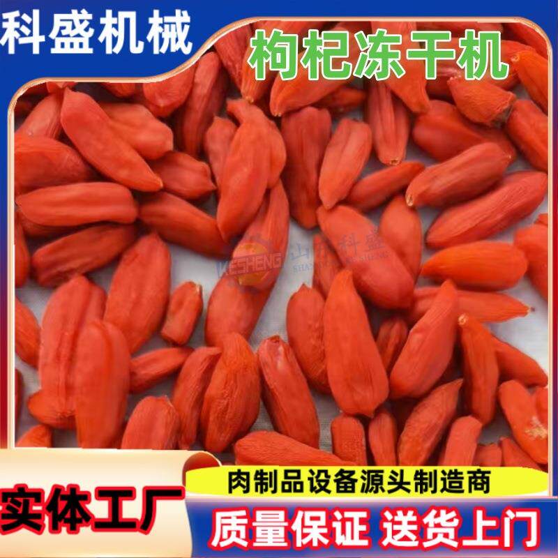 铁皮石斛鹿茸枸杞低温商用冻干机 潘石榴真空冻干机 冻干机厂家