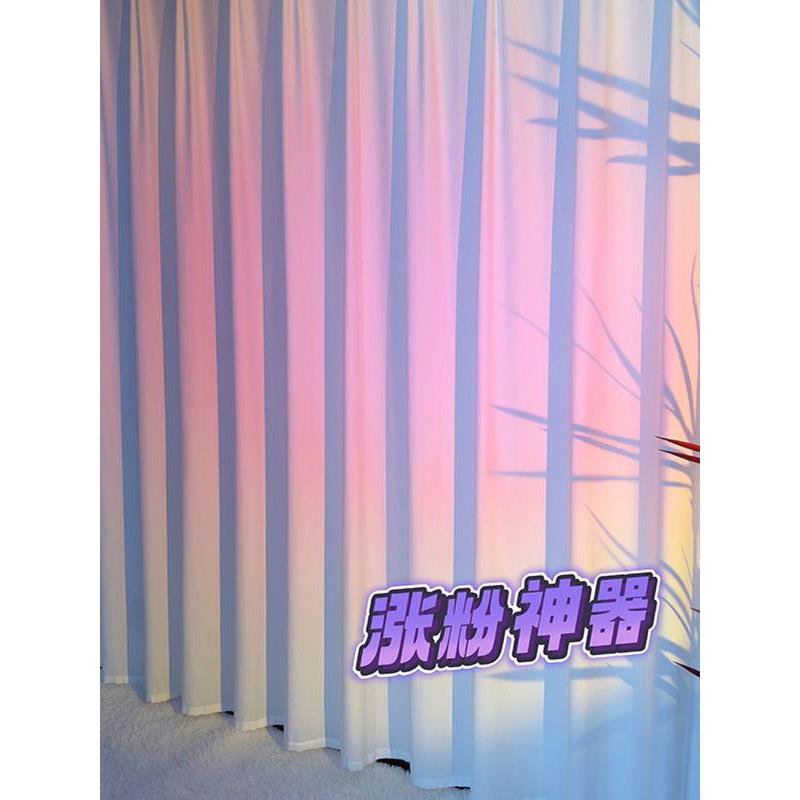 直播间背景窗帘免打孔安装魔术贴主播直播背景窗帘白纱自带褶皱帘