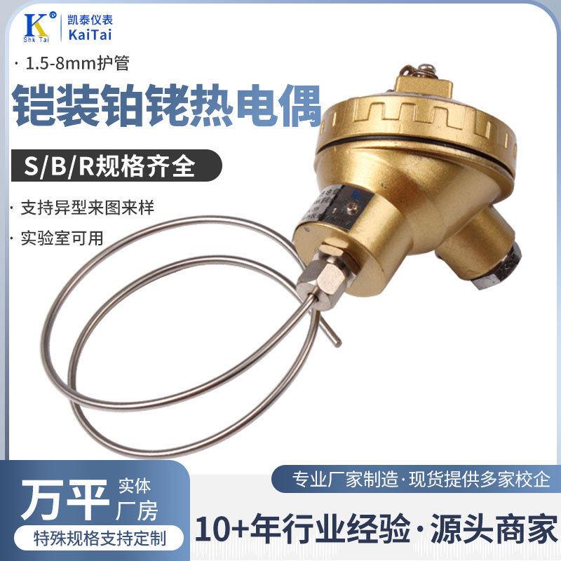 S型铠装铂铑热电偶WRPK-131 S型B型R型尺寸齐全耐温国标偶丝