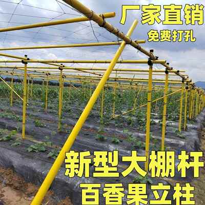 玻璃纤维管温室大棚骨架百香果立柱丝瓜藤类高强度包毡支撑杆支架