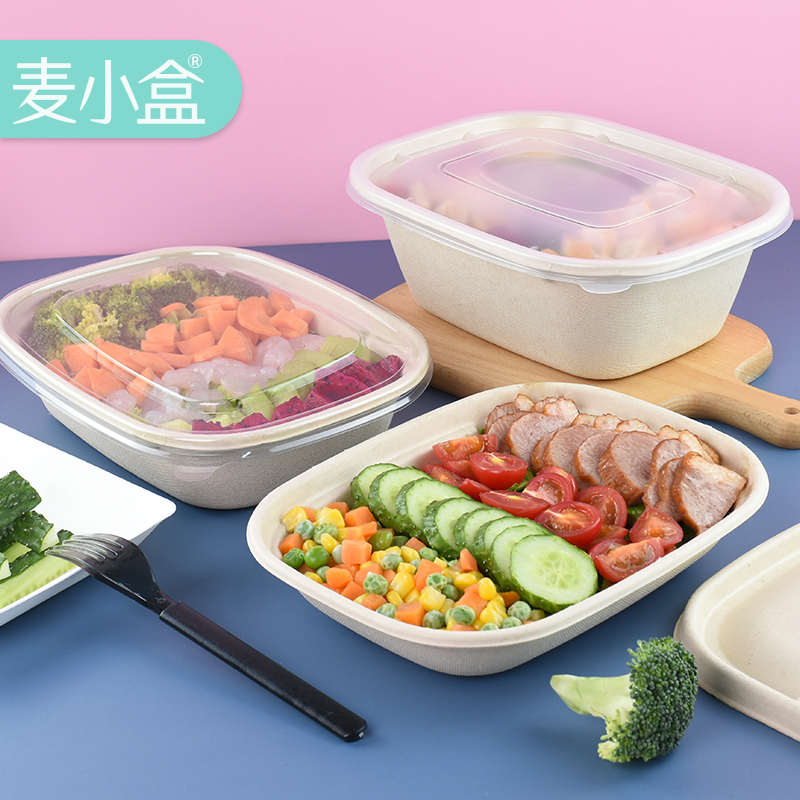 一次性环保可降纸浆解餐盒麦秸秆沙拉健身轻食外卖打包便当快餐盒