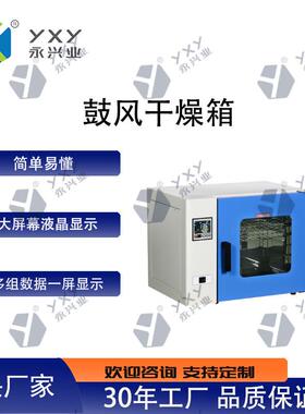 DHG-9055A鼓风干燥箱实验室工矿干燥烘焙溶蜡灭菌智能控温不锈