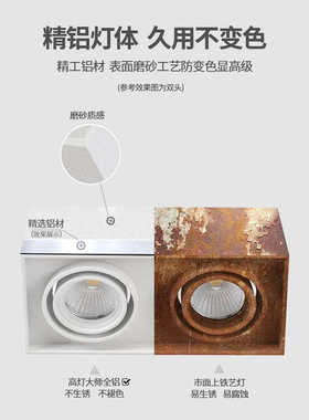全铝明装斗胆灯长四头射灯吸顶免开孔无主灯4头cob防眩多头灯高
