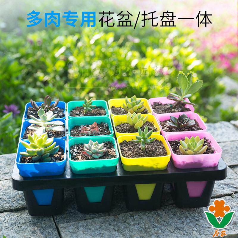 加厚小黑方托架7cm彩方实心托架 创意多肉花盆整理搬运托盘