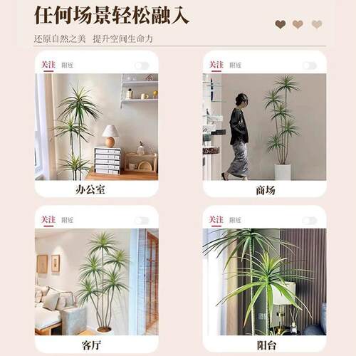 假绿植装饰仿真室内大盆栽龙舌兰客厅落地摆件高端轻奢仿生花植物