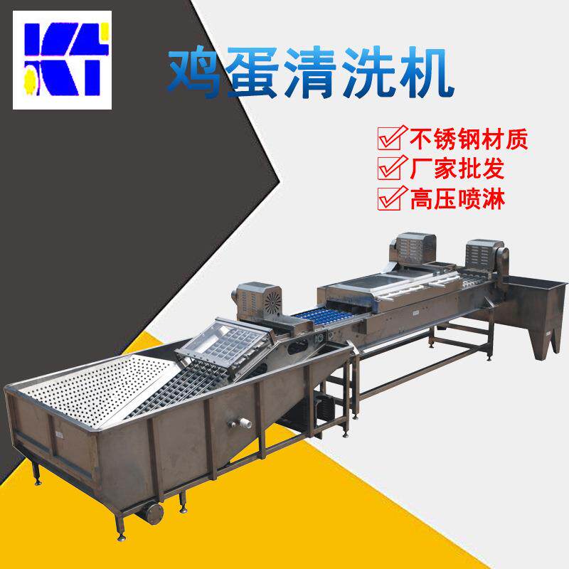 洗蛋机多排鸡蛋清洗机小型鸭蛋清洗机厂家销售鸡蛋洗蛋机