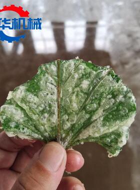 全自动红薯叶油炸机 地瓜叶挂浆油炸设备 翠叶裹浆油炸生产线