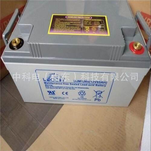 LEOCH理士蓄电池DJM1280AH铅酸免维护12V80AH直流屏电源应急
