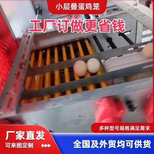 层叠蛋鸡笼鸡笼全自动厂家捡蛋喂料清粪热镀锌丝可安装三四层