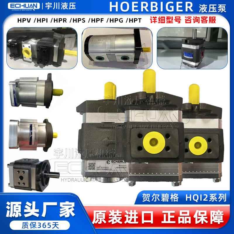贺尔碧格内啮合油泵HOERBIGER齿轮泵HQI2-016RA04-11S100液压泵