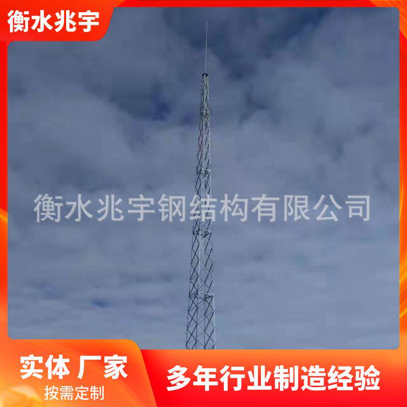 避雷塔 钢结构楼顶避雷塔 生 产 环形避雷针接闪杆 钢管避雷塔