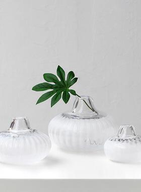 碧轩水培创意插花花器客厅装饰品摆件大号扁南瓜透明玻璃花瓶