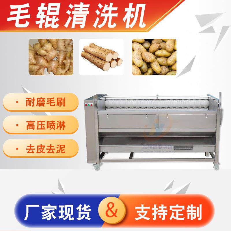 贝壳类海鲜毛辊清洗机芋头葛根去皮清洗机地瓜鲜姜软毛清洗机