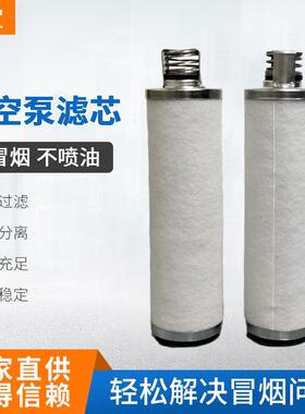莱宝真空泵油雾过滤器分离器 D65B 排气滤芯D65B