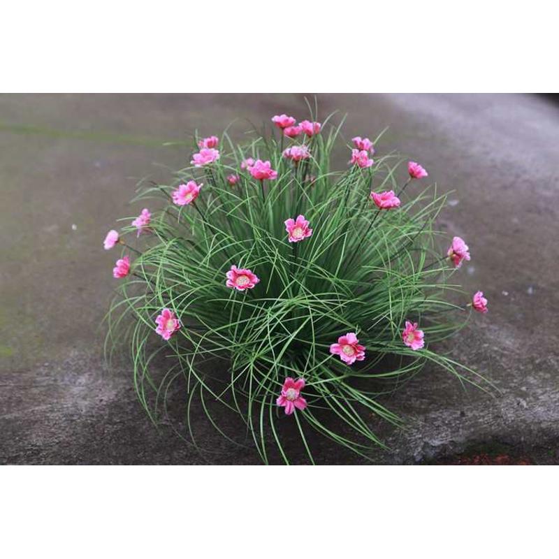 仿真草垛草堆景观制作假草绿草软装道具草丛团草仿真芦苇草装饰