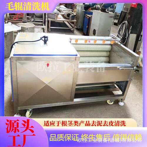 生姜去皮清洗机器 洋葱毛刷去皮清洗设备 多功能商用毛刷清洗机