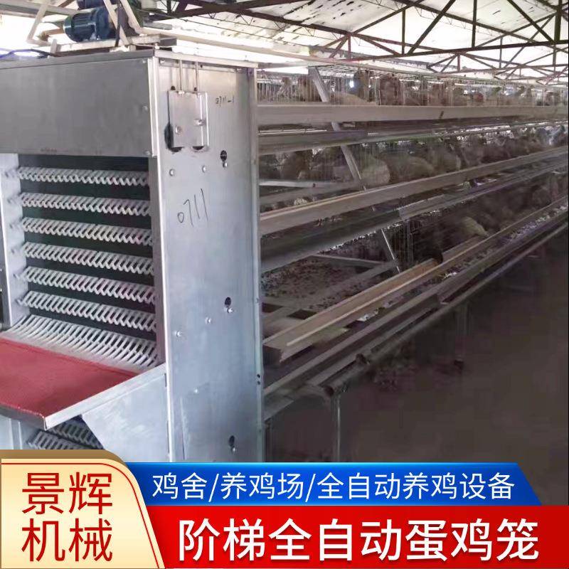 全自动阶梯式蛋鸡笼喂料捡蛋机厂家热镀锌三层绿槽笼具养鸡设备