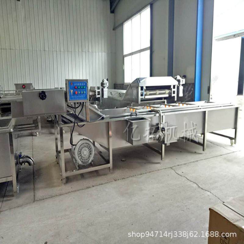 销售蔬菜水果清洗机果蔬气泡清洗机洗菜机能杀菌去农药的洗菜机