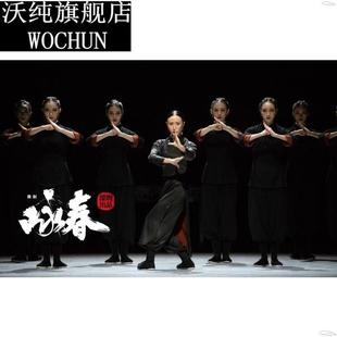 舞剧咏春水墨古典舞艺考演出服武术宗师表演练功服舞蹈飘逸太极服