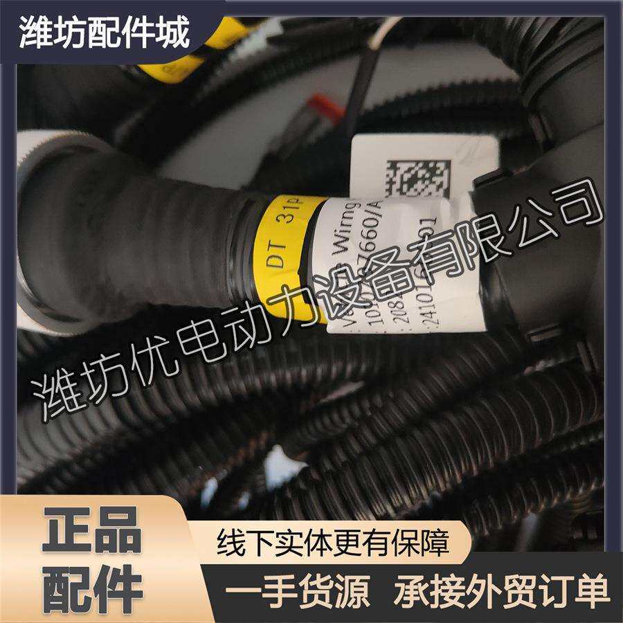 潍柴博杜安发动机6M33发电机组船用柴油机国三1010797660整车线束