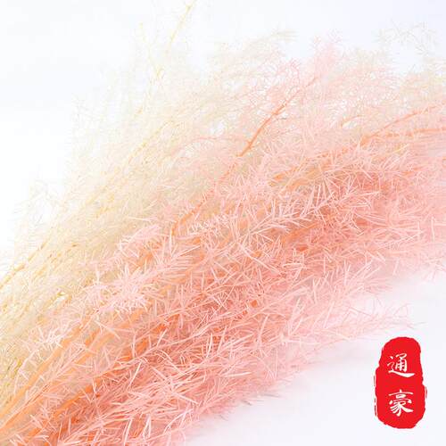 永生花天门冬花束家居diy花材手工插花情人节婚礼布置花材