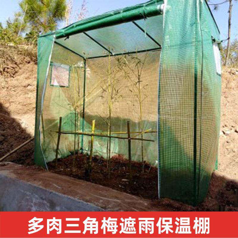三角梅番茄遮雨保温大棚阳台庭院钢管育苗罩防冻保湿花篷温室暖房