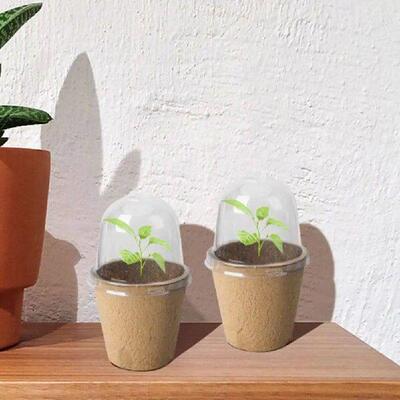 10Pcs Seedling Cup Seedling Pot Transparent Lid Seed