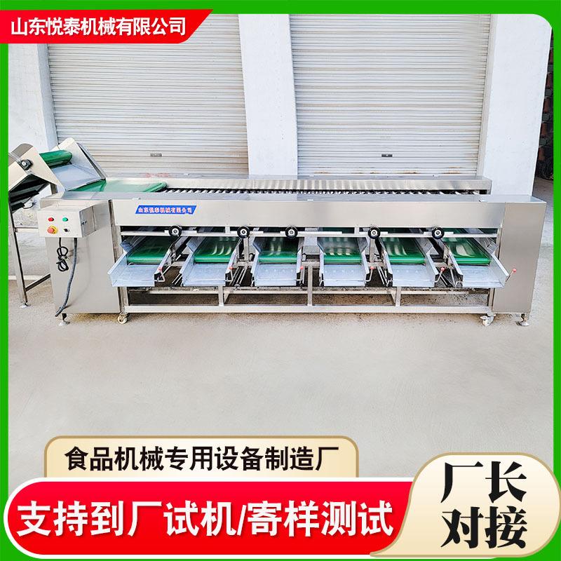 土豆芋头滚杠分级机不锈钢滚杠式分级机槟郎果蔬全自动分选设备