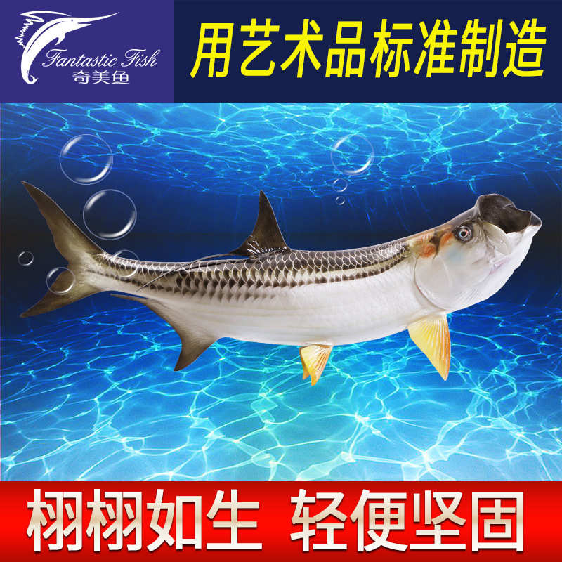 鲢鱼立体单面玻璃钢雕塑室内装饰仿真鱼模型海洋工艺品墙壁挂饰