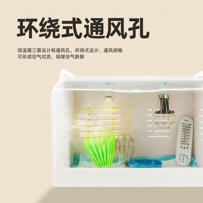 优级保温箱鸟VEI雏鹌鸡鹑小鸡保温饲养爬宠箱芦丁鸡箱育雏鸡鸭鹅