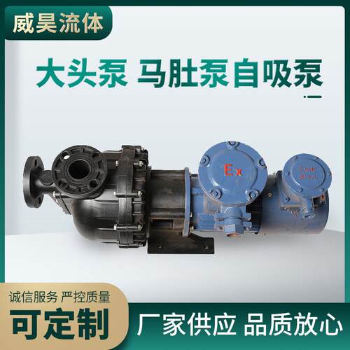 大头泵、马肚泵自吸泵大流量自吸泵小型自吸泵