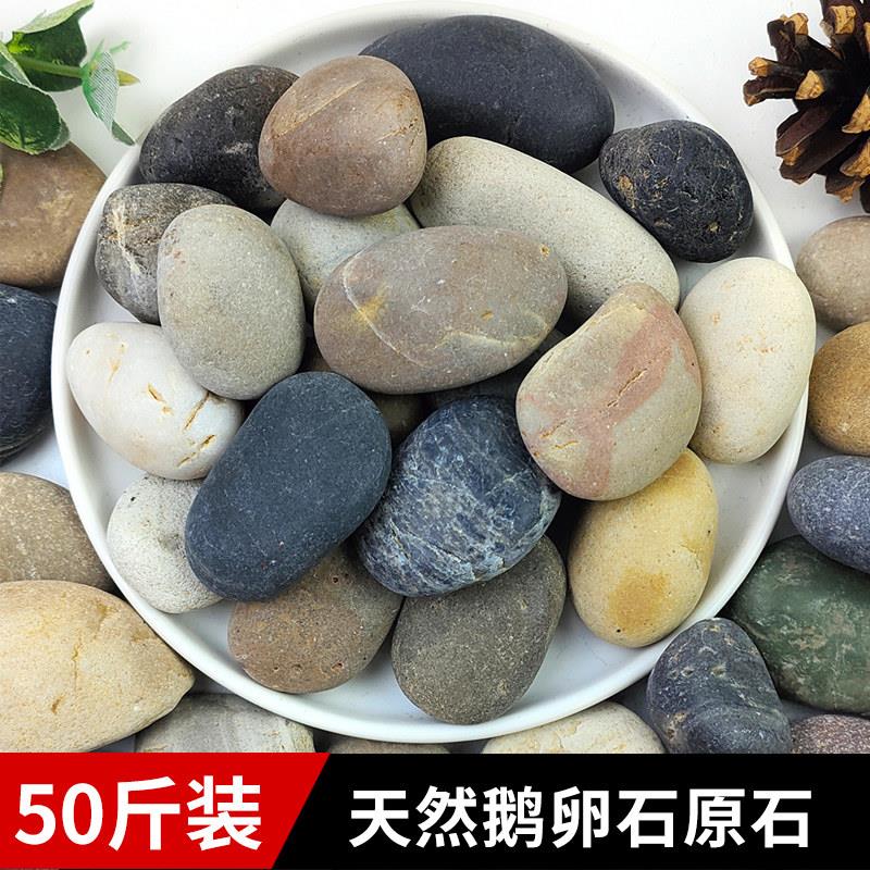50斤鹅卵石庭院铺地铺路鱼缸花园造景天然雨花石原石大小鹅软石头