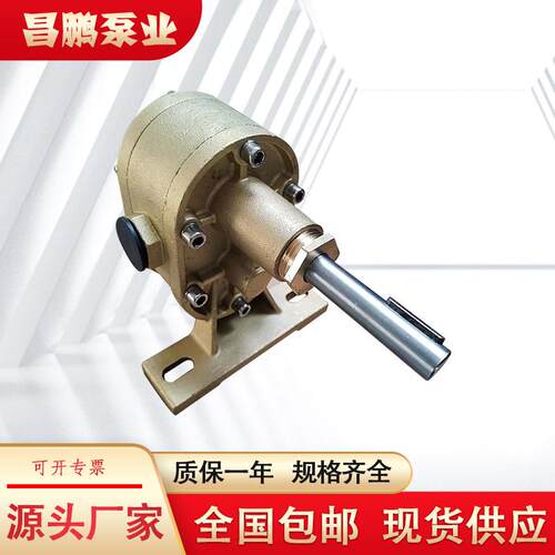 铜胶泵打包机械点胶机挤胶泵胶水泵全铜抽油齿轮泵泵头齿轮计量泵