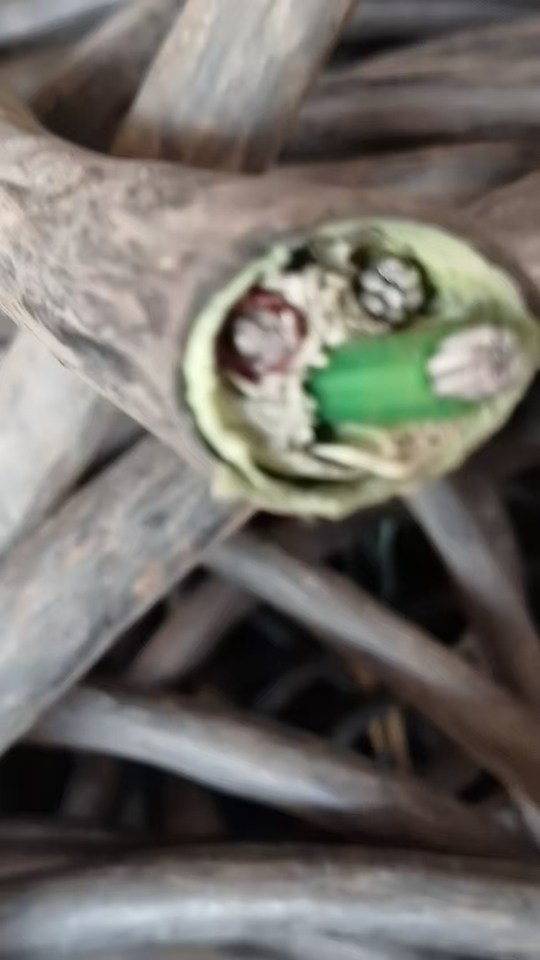 1月3日深圳处置电缆杂线约5吨打包处理网络拍卖公告