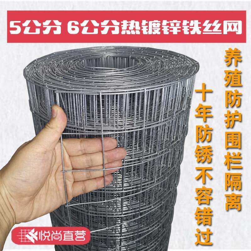 热浸镀锌钢丝网铁丝网隔离围栏养鸡护栏网围墙铁网5厘米网孔玉米
