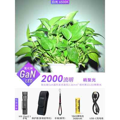 正品在路上M9-2代 水US直充电强光手电筒迷你小携手电便防超亮B玉