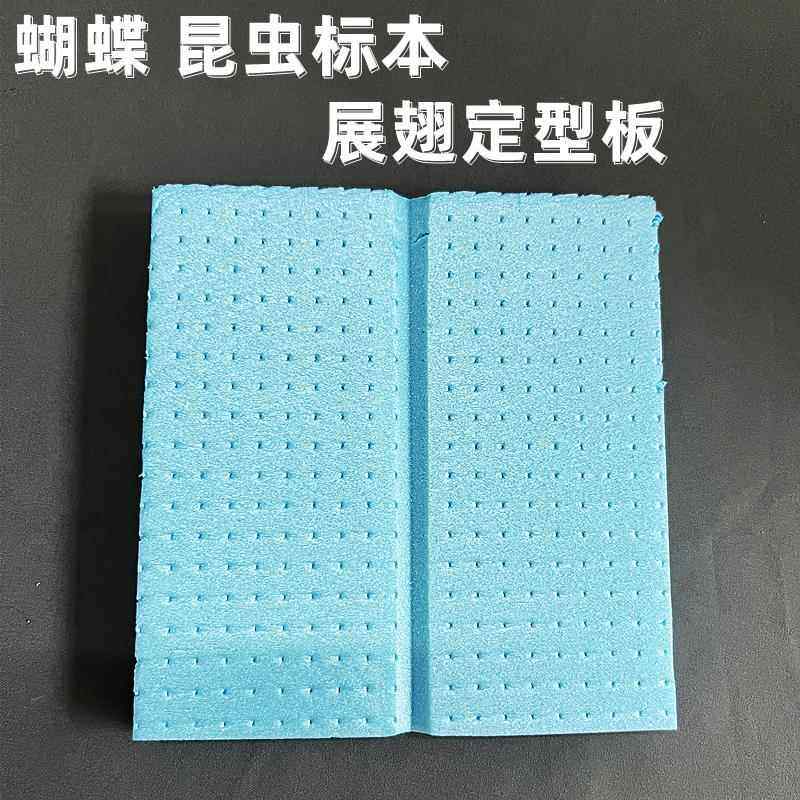 展翅板定整姿板蝴蝶昆虫标本学校手工制作专用工具泡沫板可小黑夹,家居饰品,标本类装饰画,淘宝优惠券,粉丝福利购,淘宝优惠卷