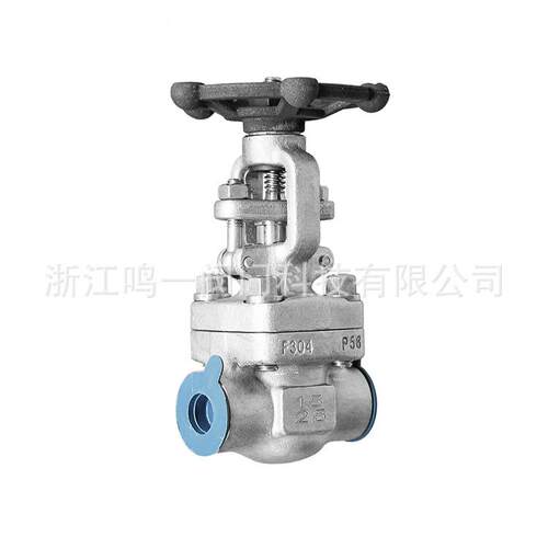 锻钢闸阀承插焊闸阀NPT/RC螺纹闸阀不锈钢F0416L明杆闸阀截止阀